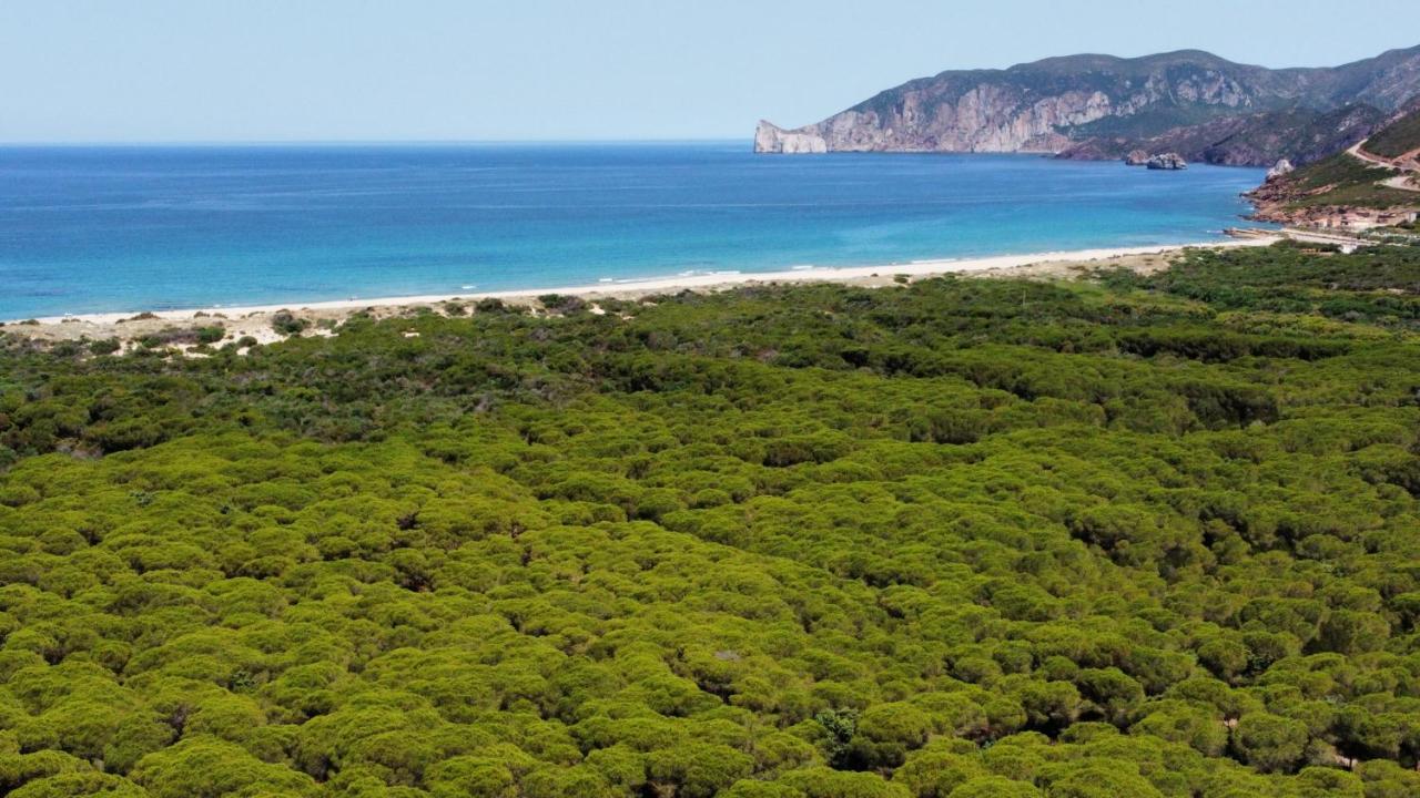 Appartamento La Collinetta Гоннеза Экстерьер фото